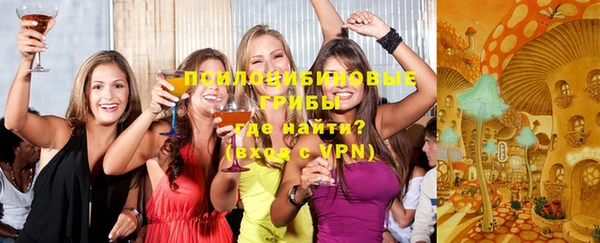 спайс Богородск