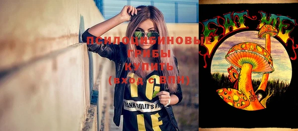 спайс Богородск