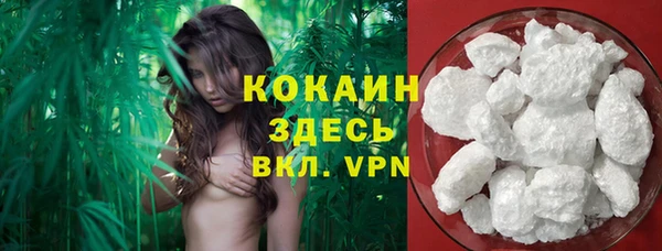 спайс Богородск